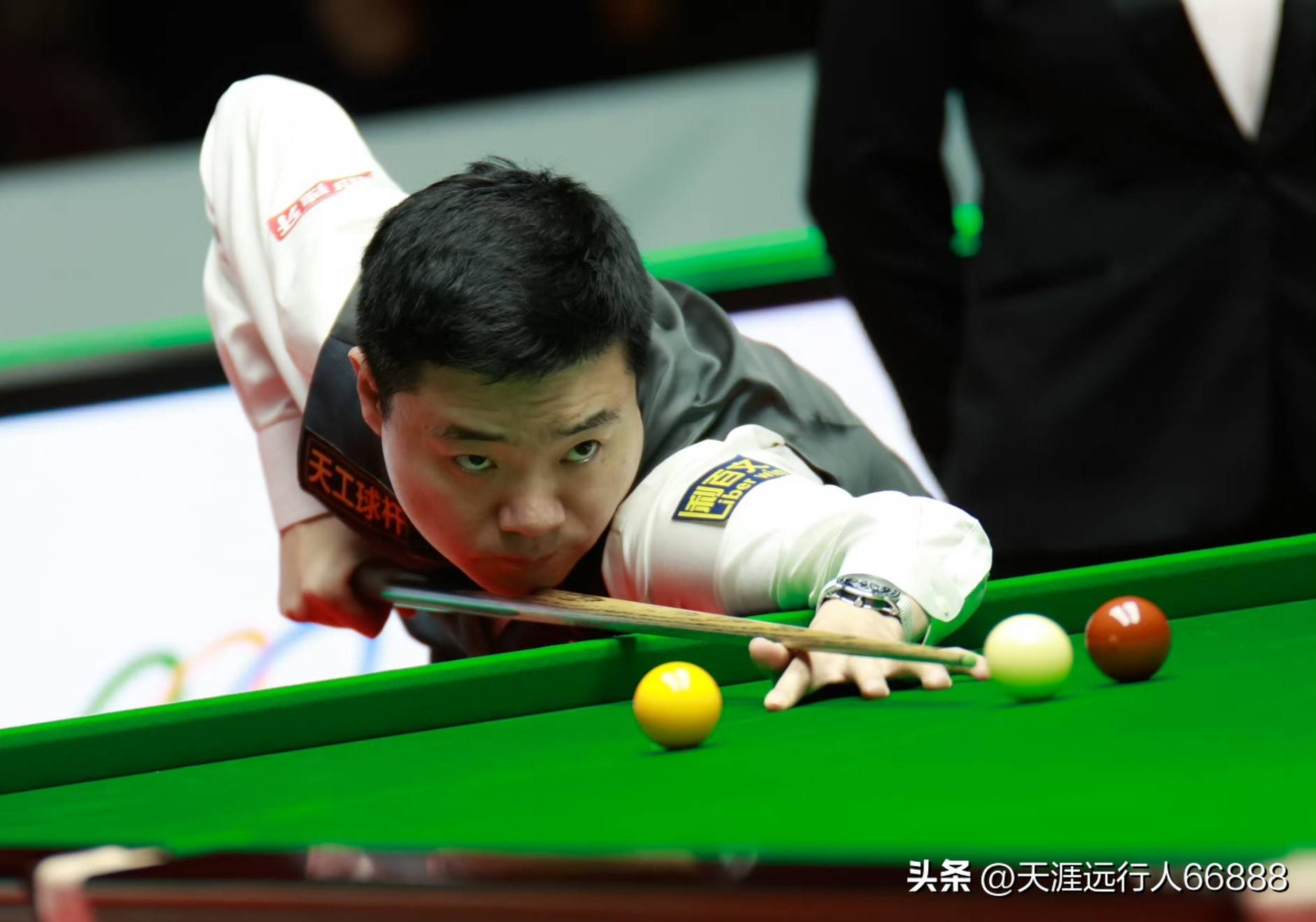 两队在近五 两队在近五